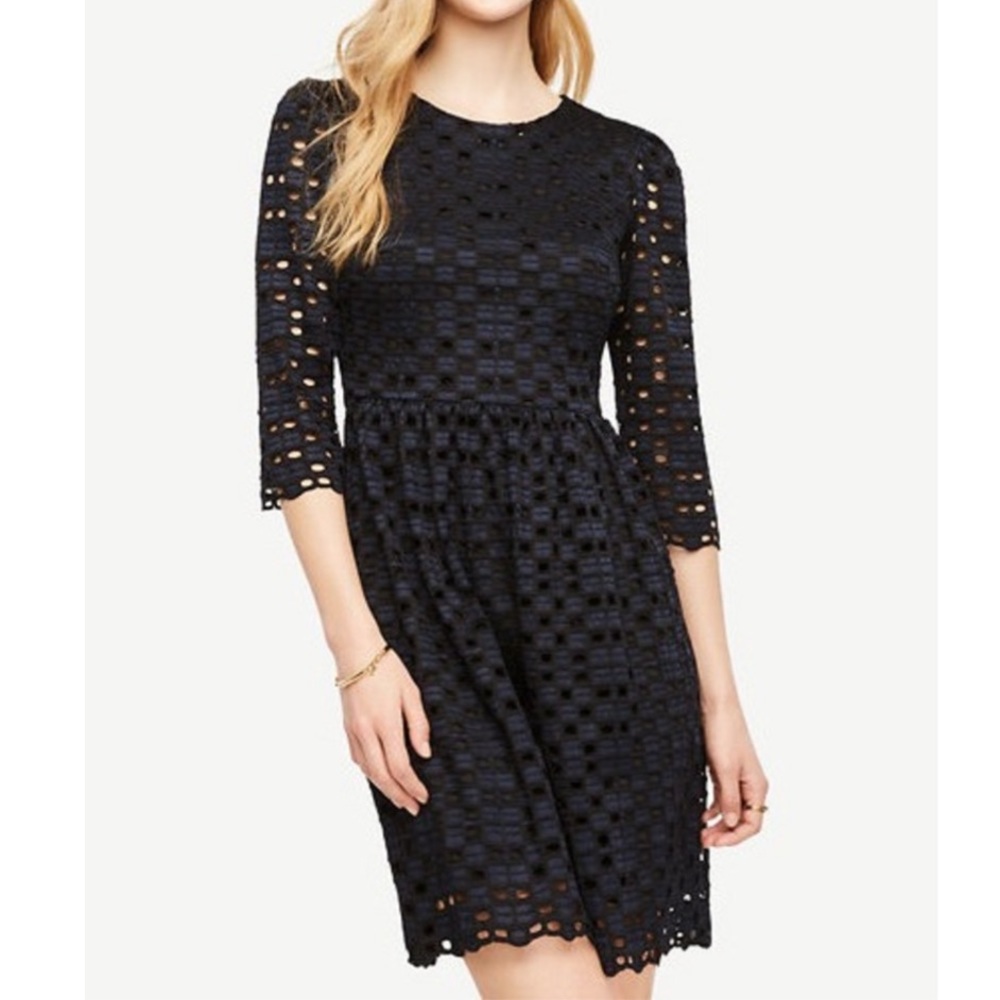 Ann Taylor Geo Lace Flare Dress